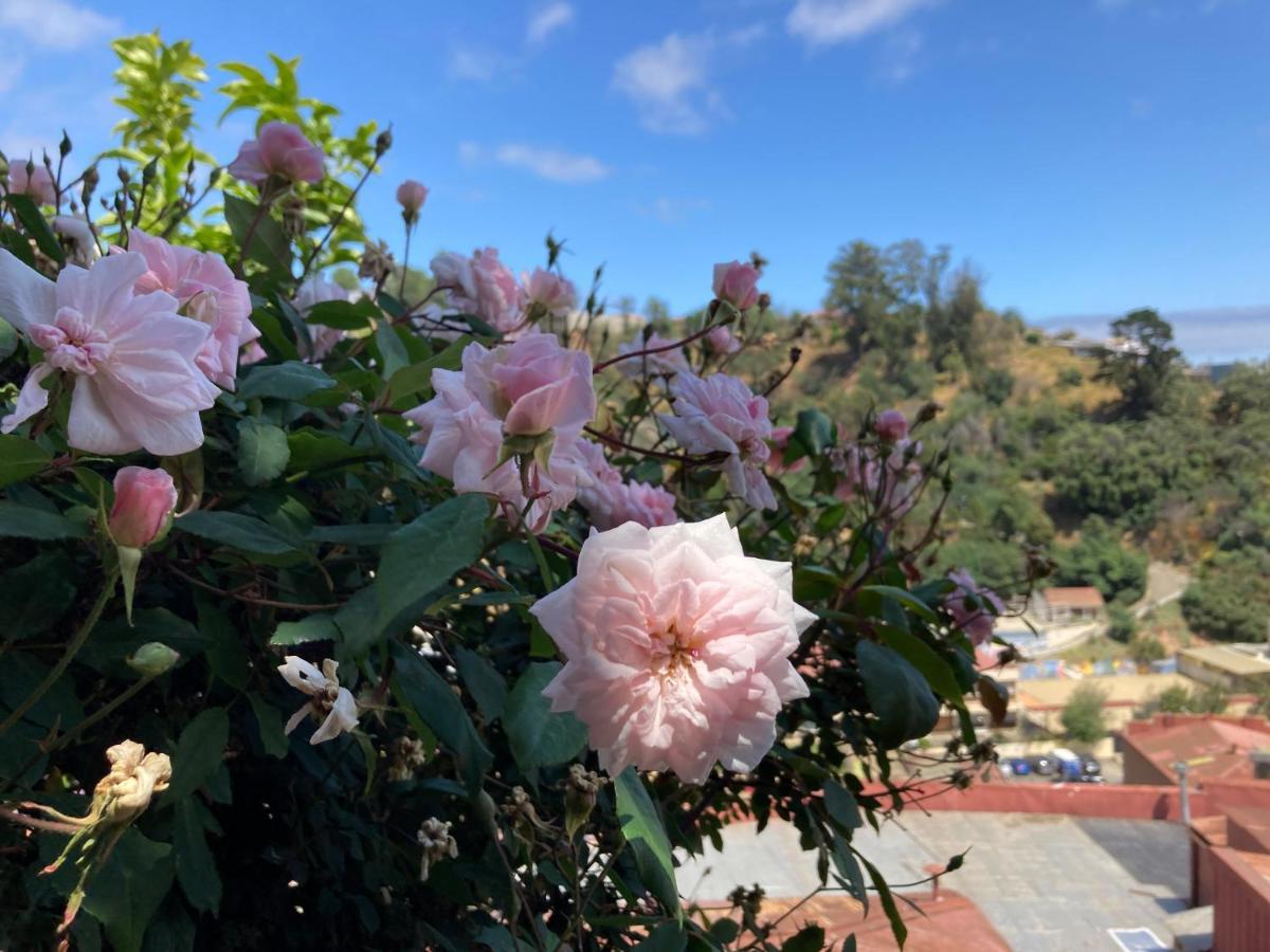 Séjour chez l'habitant Brons Valparaíso