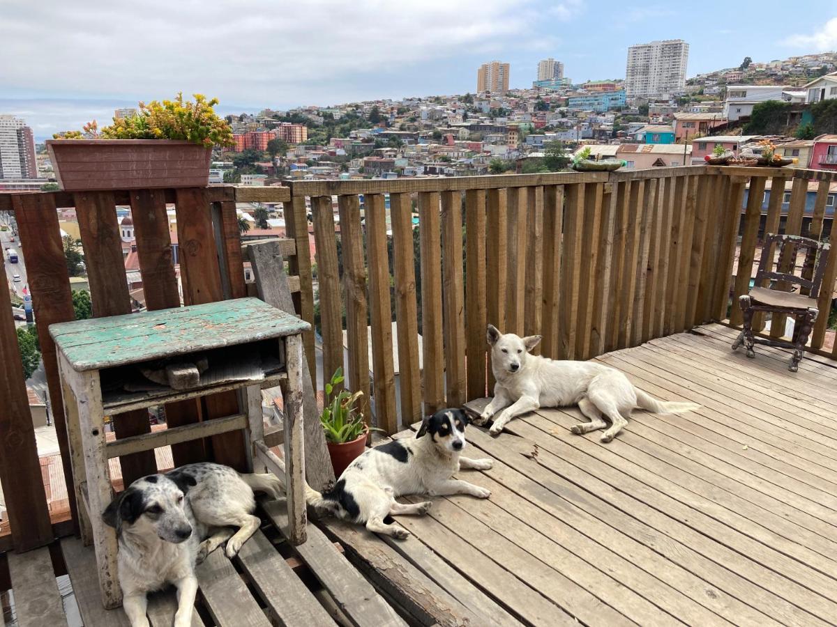 Homestay Brons Valparaiso