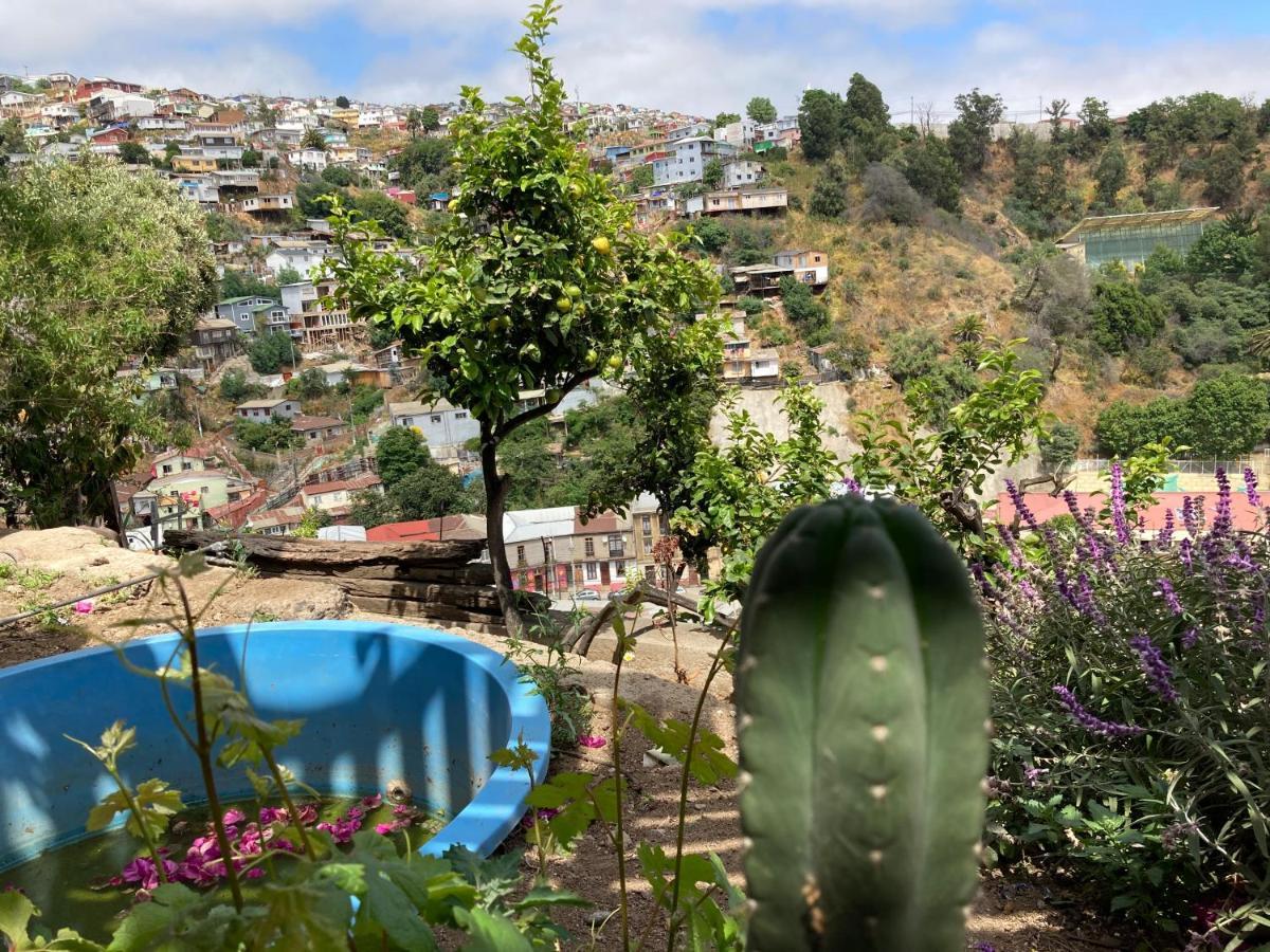 Brons * Valparaiso